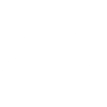 RVIVL LOGO WHITE