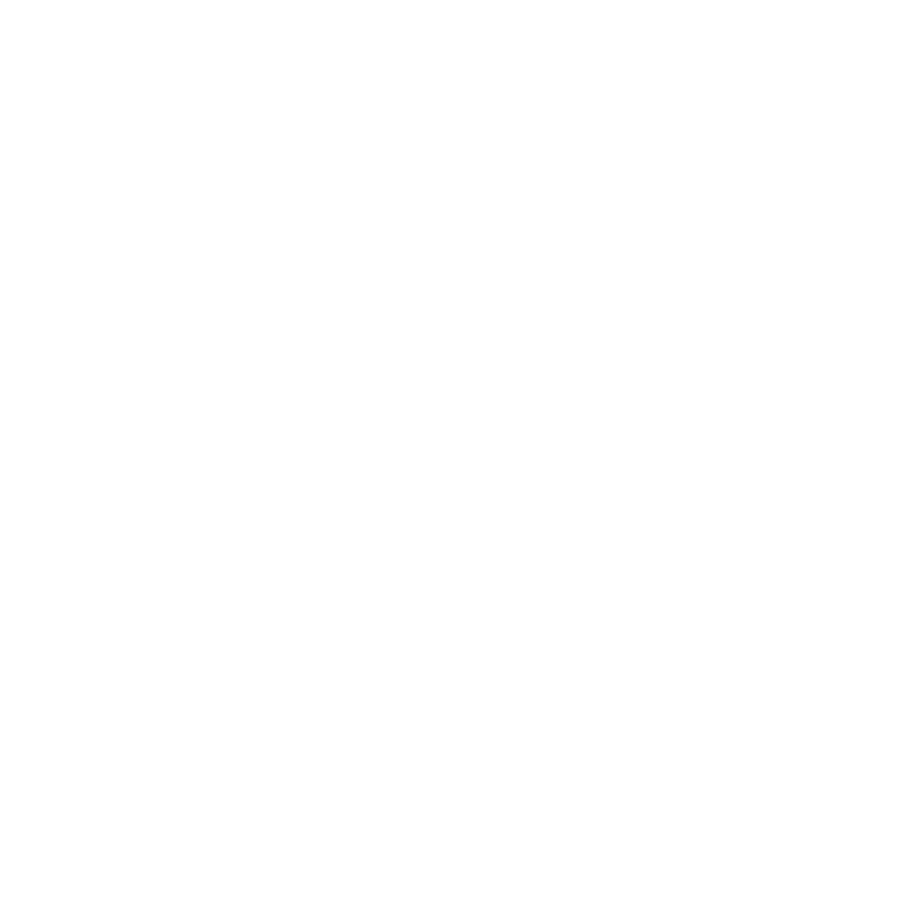 RVIVL LOGO WHITE